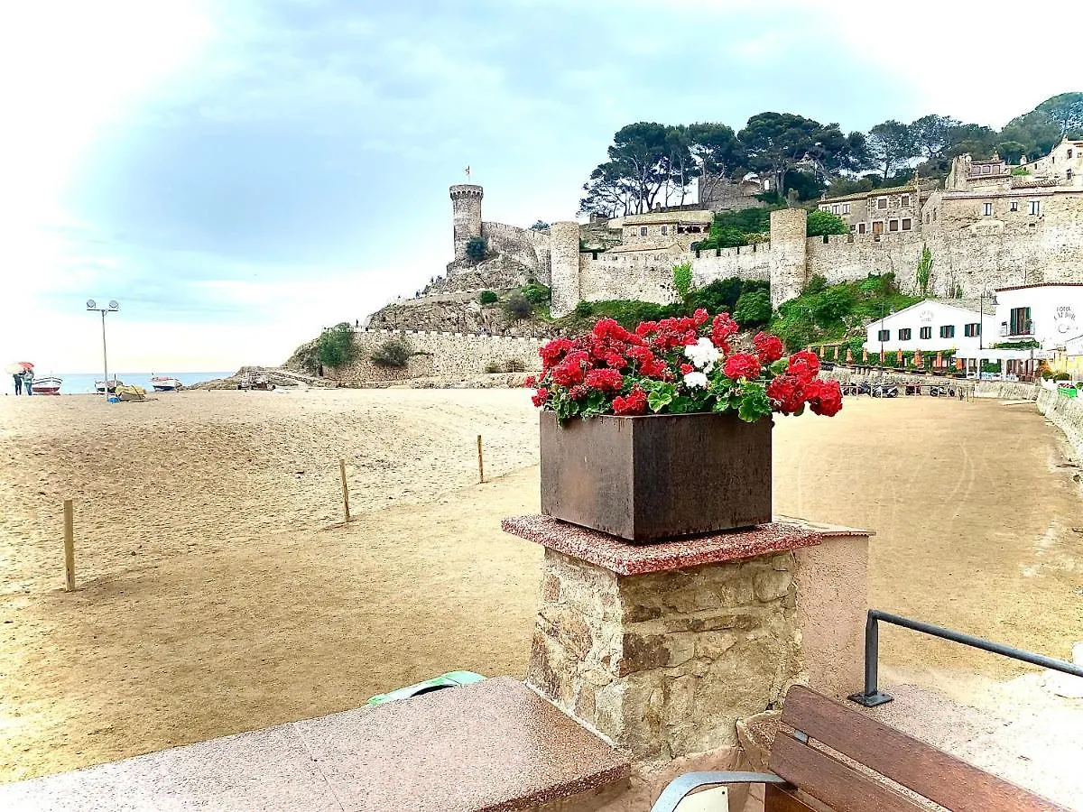 Cala Salions, Amplio Apartamento Con Visitas Al Mar Tossa De Mar 0*,  Spain